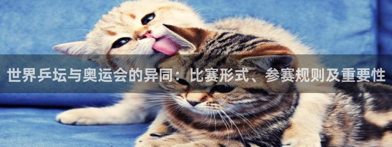 世界杯 中国:世界乒坛与奥运会的异同:比赛形式、参赛规则及重要性
