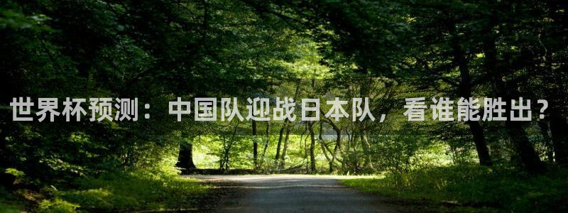 世界杯预选赛:世界杯预测:中国队迎战日本队,看谁能胜出?