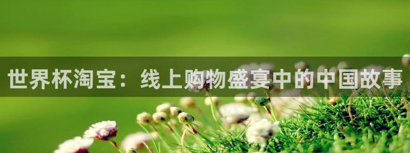 世预赛免费直播入口:世界杯淘宝:线上购物盛宴中的中国故事