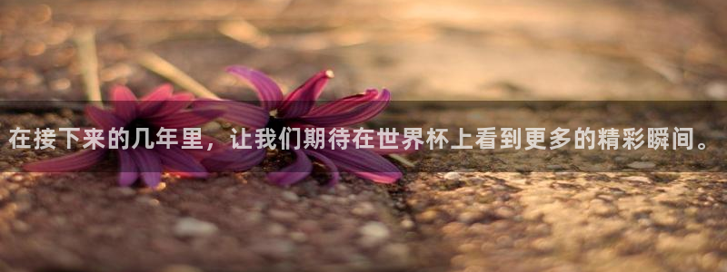 足球世界杯2026:在接下来的几年里,让我们期待在世界杯上看到更多的精彩瞬间。