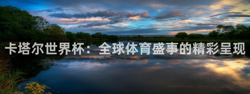 看世界杯:卡塔尔世界杯:全球体育盛事的精彩呈现