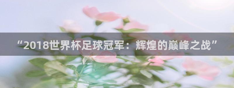 世界杯直播网:“2018世界杯足球冠军:辉煌的巅峰之战”