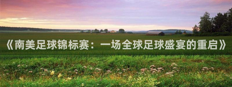 世界杯预选赛欧洲赛区赛程:《南美足球锦标赛:一场全球足球盛宴的重启》