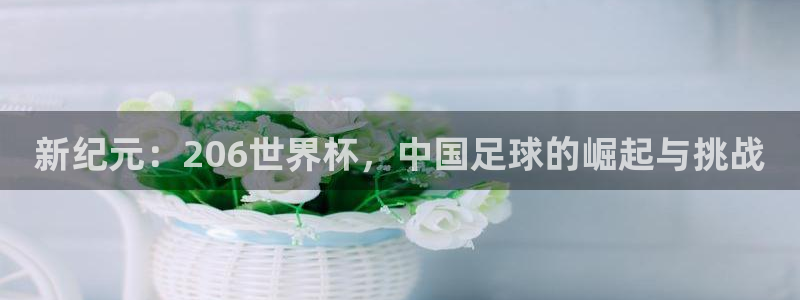世界杯比赛直播:新纪元:206世界杯,中国足球的崛起与挑战
