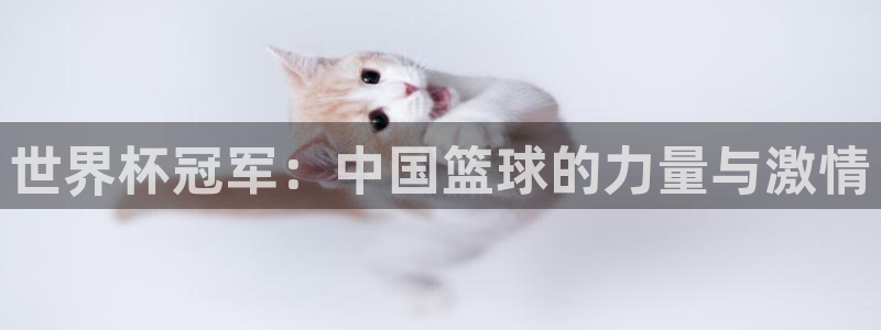 2026世界杯亚洲区预选赛:世界杯冠军:中国篮球的力量与激情