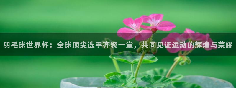世界杯亚洲区预选赛:羽毛球世界杯:全球顶尖选手齐聚一堂,共同见证运动的辉煌与荣耀